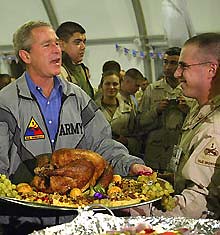Bush with plastic turkey