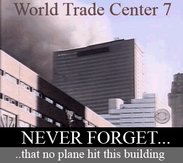 Guantanamo, Irak, Afghanistan... démocrature occidentale La_3o_tour_s_effondre