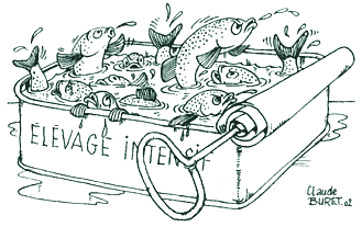 Groix - Elevage intensif ... : signez la pétition ! Elevageintensepoisson
