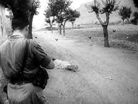 8 mai 1945 en algerie