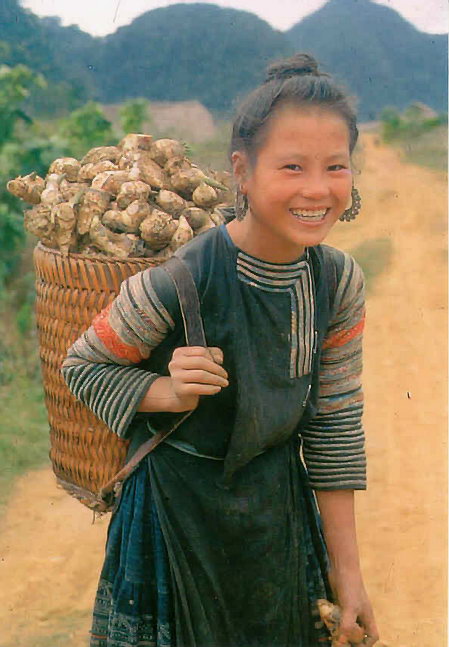 Jeune fille portant une hôte de tubercules plus lourde qu'elle. Photo : Nhiêp Nhi