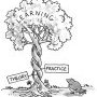 Théorie, pratique... apprentissage