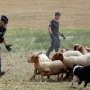 La police face au sheep block ? / Crédits photo : Reuters