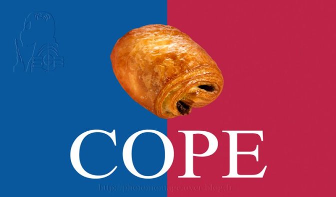Nouveau-logo-ump-cope-fake-sblesniper-800.jpg