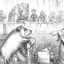 procès d'animaux