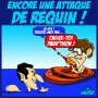 ATTAQUE D'UN REQUIN