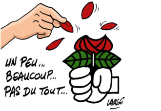 Rose-du-Parti-socialiste