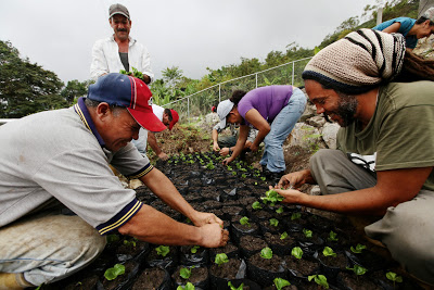 Commune Agro-écologique “EL Tambor”, Municipalité Andrés Bello. État de Mérida, Venezuela, 2013.