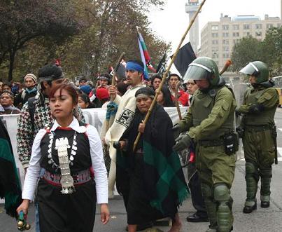 mapuche31